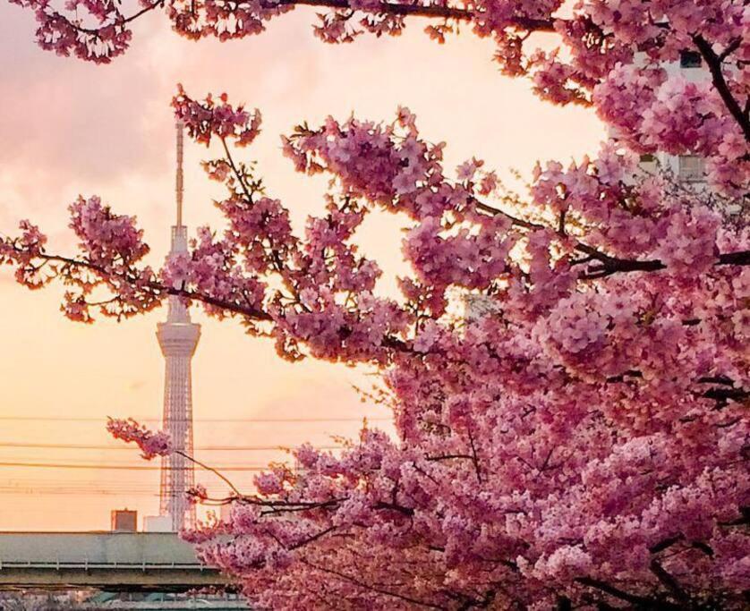 5Mins From Jr Kinshicho! Near Asakusa&Skytree! Токио Екстериор снимка